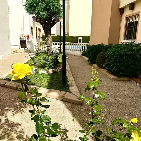 Апартаменты Mar Menor Торевьиа